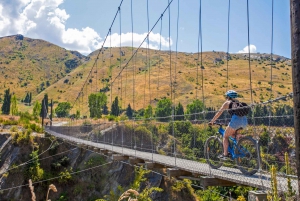 From Arrowtown: Scenic Valley of the Vines Bike & Wine Tour