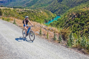 From Arrowtown: Scenic Valley of the Vines Bike & Wine Tour