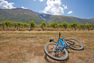 From Arrowtown: Scenic Valley of the Vines Bike & Wine Tour