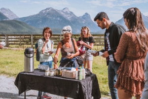 From Queenstown: Glenorchy and Paradise Scenic Half-Day Tour