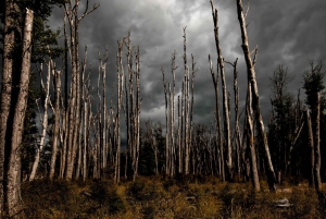 From Queenstown: Lord Of The Rings Tour to Glenorchy