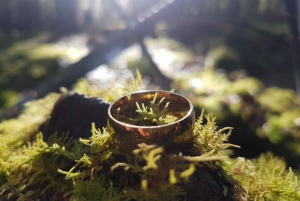 From Queenstown: Lord Of The Rings Tour to Glenorchy