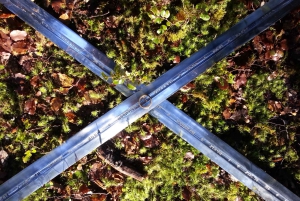 From Queenstown: Lord Of The Rings Tour to Glenorchy