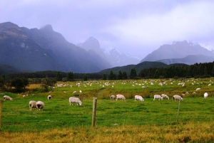 From Queenstown: Lord Of The Rings Tour to Glenorchy