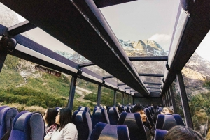 From Queenstown: Milford Sound Cruise and Coach Day Trip