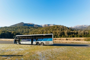 From Queenstown: Milford Sound Cruise and Coach Day Trip