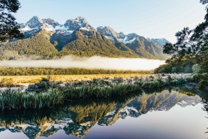 From Queenstown: Milford Sound Cruise and Coach Day Trip