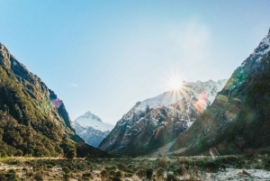 From Queenstown: Milford Sound Cruise and Coach Day Trip