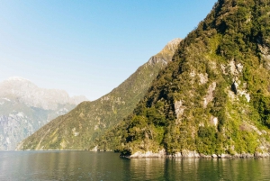 From Queenstown: Milford Sound Cruise and Coach Day Trip