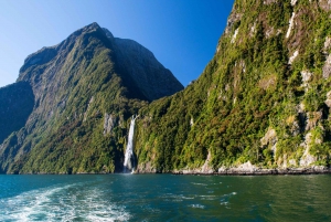 From Queenstown: Milford Sound Full-Day Tour with Lunch