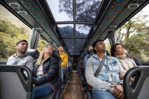 From Queenstown: Milford Sound Full-Day Tour with Lunch