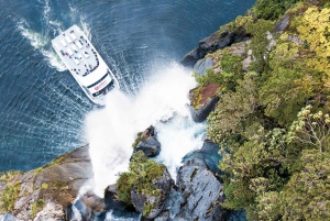 From Queenstown: Milford Sound Full-Day Trip with Lunch