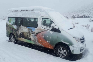 From Queenstown: Mount Cook and Hooker Valley Day Trip