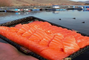 From Queenstown: Mount Cook and Hooker Valley Day Trip