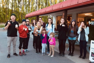 From Queenstown: Mount Cook and Hooker Valley Day Trip