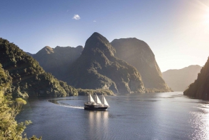 From Queenstown: Doubtful Sound Wilderness Day Trip