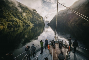 From Queenstown: Premium Doubtful Sound Wilderness Day Trip