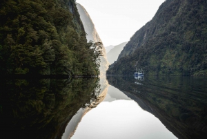 From Queenstown: Premium Doubtful Sound Wilderness Day Trip