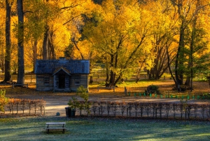 Gourmet Food and Wine Tour with Lunch and Wine Tastings