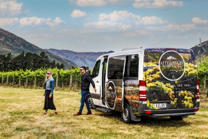 Gourmet Food and Wine Tour with Lunch and Wine Tastings