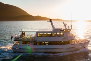 Milford Sound: Boutique Small-Boat Cruise