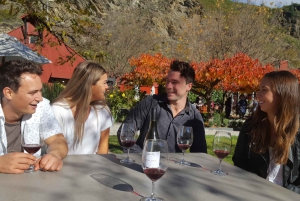 Otago Winery Tour with Gourmet Wine & Food-Paired Lunch