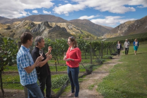 Otago Winery Tour with Gourmet Wine & Food-Paired Lunch