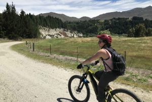 Guided Scenic E-bike Tour - Ride to the Lake