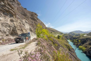 Queenstown: Half-Day 4WD Lord Of the Rings Discovery Tour