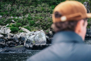 Queenstown: Milford Sound Coach & Cruise Full-Day Trip