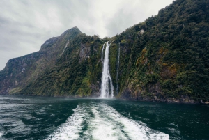 Queenstown: Milford Sound Coach & Cruise Full-Day Trip