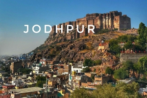 5 dage: Udaipur & Jodhpur-tur med overnatning