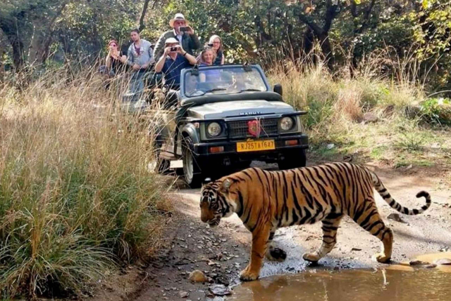Desde Delhi: tour de 6 días por el Triángulo de Oro con Ranthambore