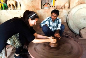 Bishnoi Village Safari Privat halvdagstur