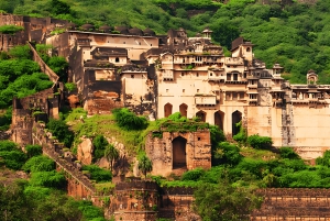 Bundi: biglietto per il safari in jeep nella riserva delle tigri di Ramgarh Vishdhari