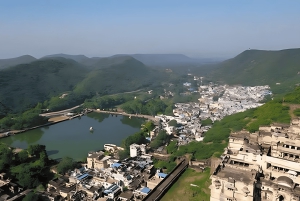 Bundi: biglietto per il safari in jeep nella riserva delle tigri di Ramgarh Vishdhari