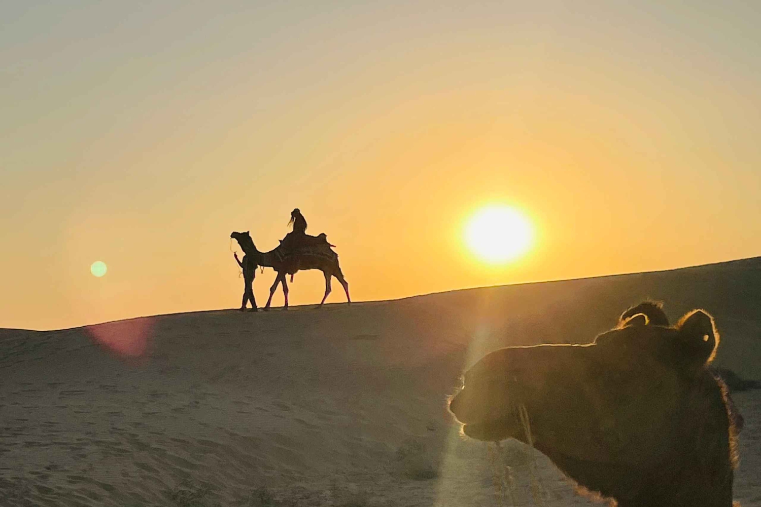 Camel Trails -auringonlaskusafari illallisella