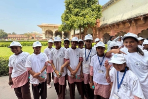 Tour pelo poço em degraus Chand Baori com guia que fala inglês