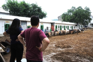 Excursión de un día a Nathdwara, Eklingji y Haldighati desde Udaipur