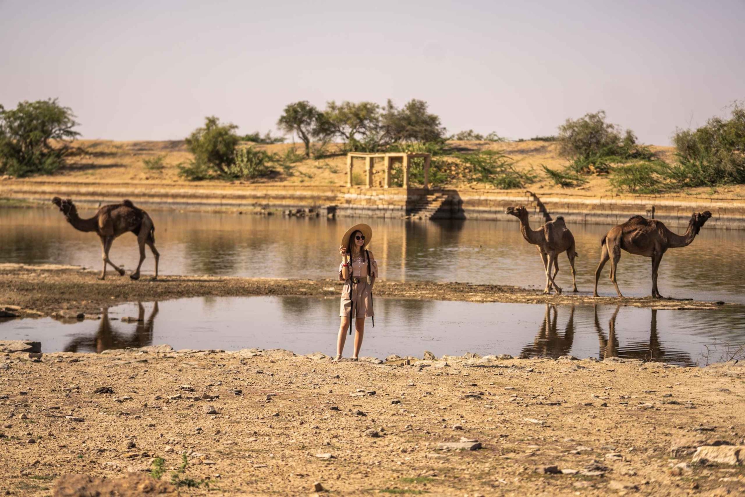 Noite cultural no deserto (sem camelo): Kalbelia e Sufi Fusion