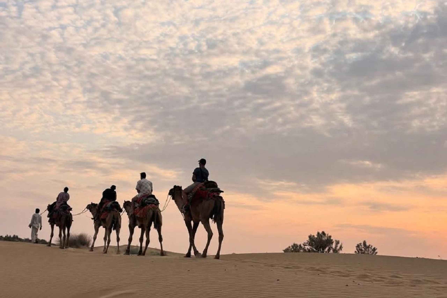 Wüstenrose Jaisalmer: Übernachtung inmitten der Wüste Thar