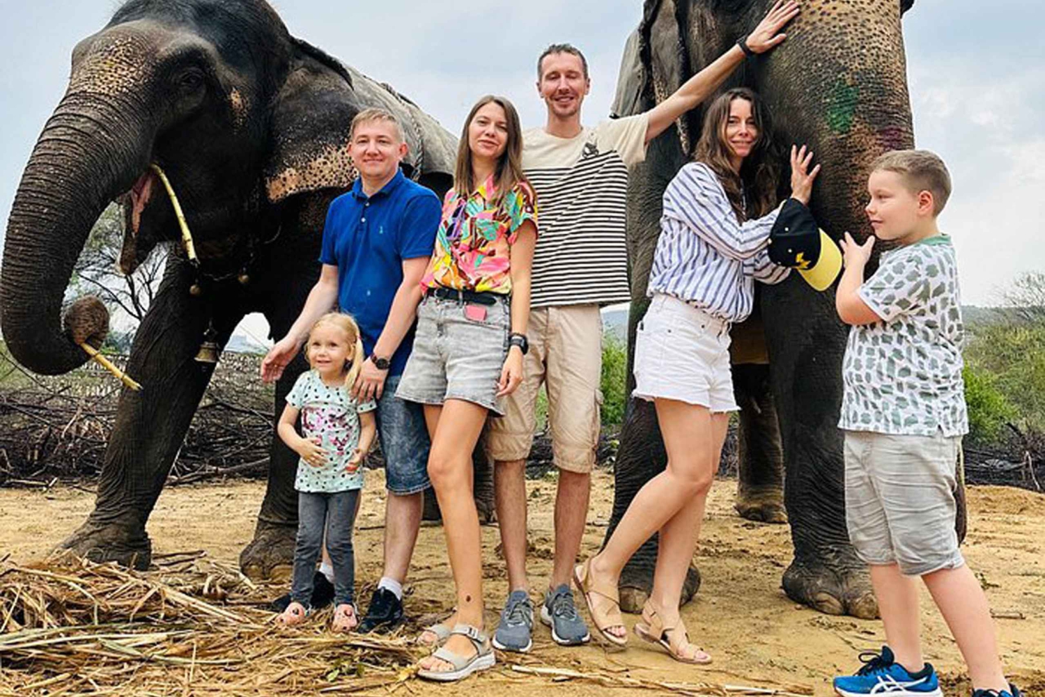 Santuario de elefantes para vivir la mejor experiencia con elefantes en Jaipur