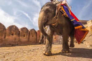 Explorez Delhi, Agra et Jaipur lors d'une excursion de 4 jours dans le Triangle d'or