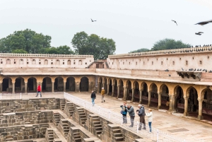 Fatehpur, Sanctuaire d'oiseaux, Chand Baori Jaipur Départ d'Agra