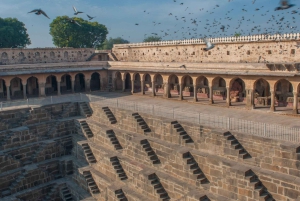 Fatehpur, Sanctuaire d'oiseaux, Chand Baori Jaipur Départ d'Agra