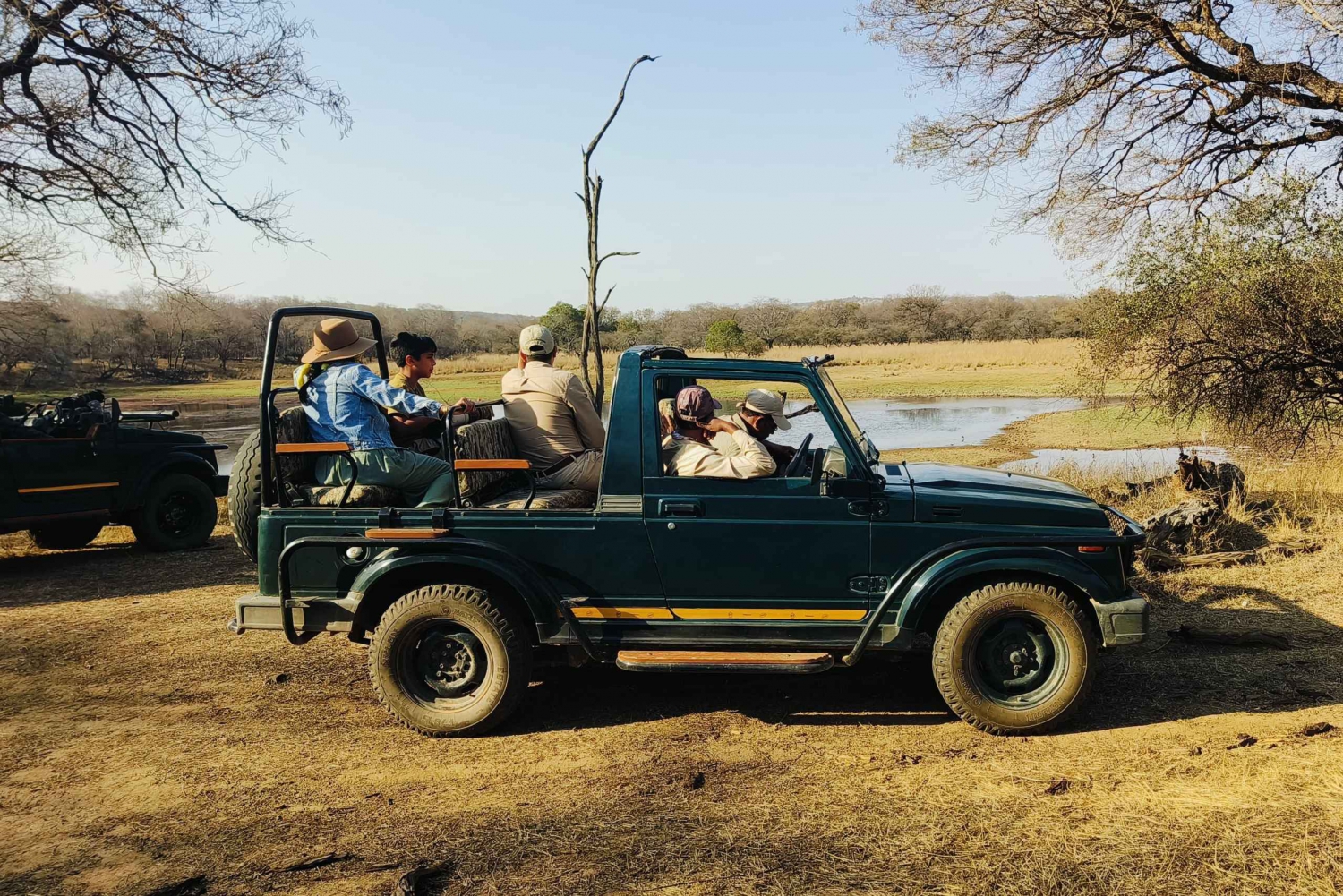 Från Agra: 2 dagar 1 natt Ranthambore Tiger Safari Tour