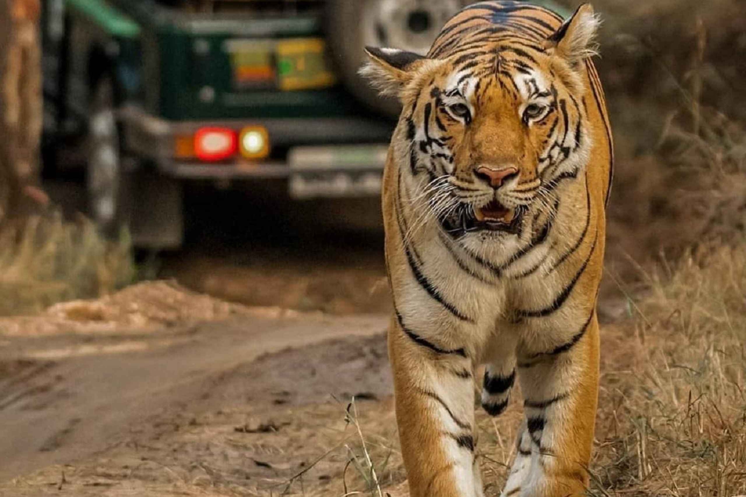 Из Дели: 5-дневный тур по Золотому треугольнику с автомобилем, трансфером и гидом