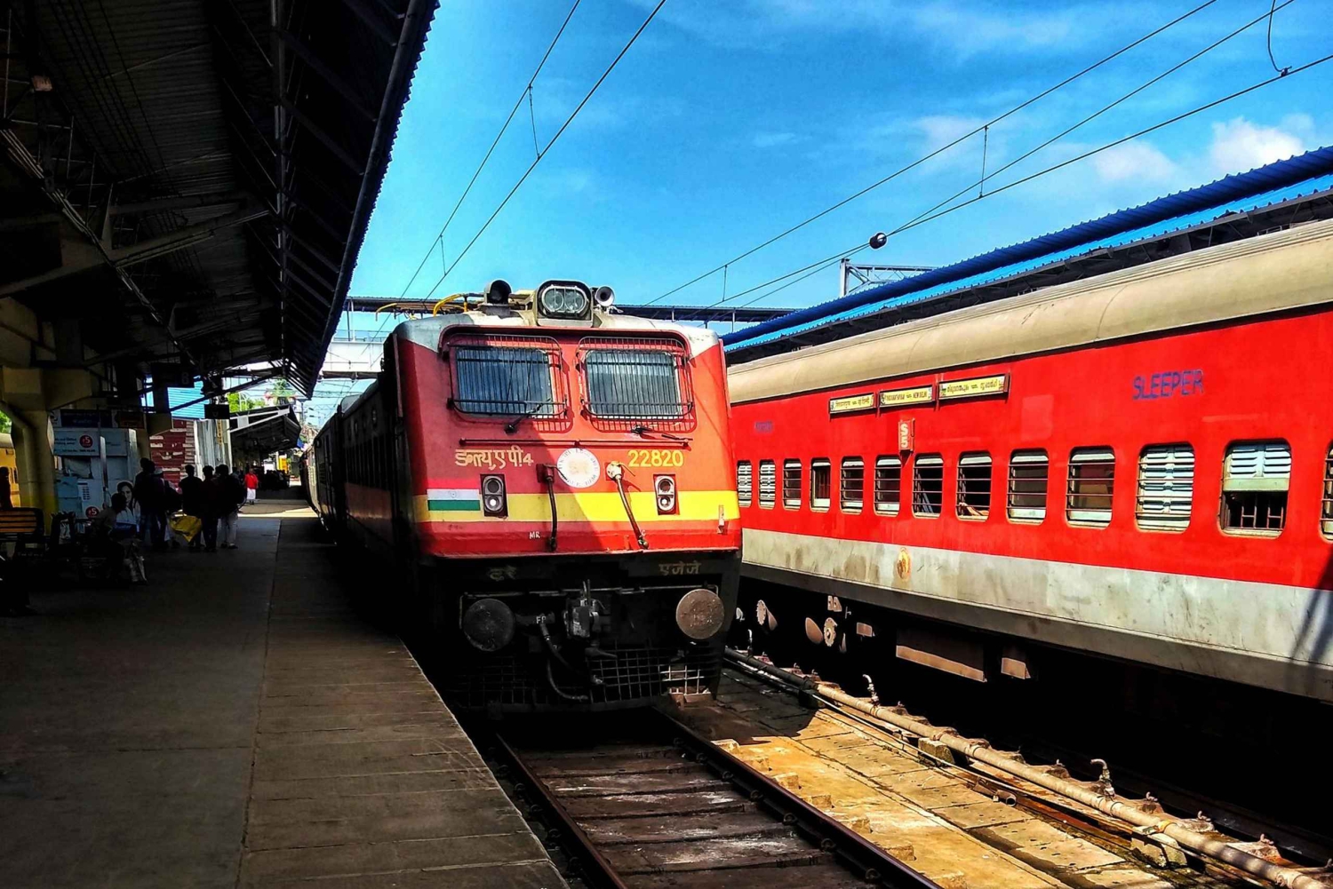 Из Дели: частная однодневная поездка в Джайпур на машине или поезде