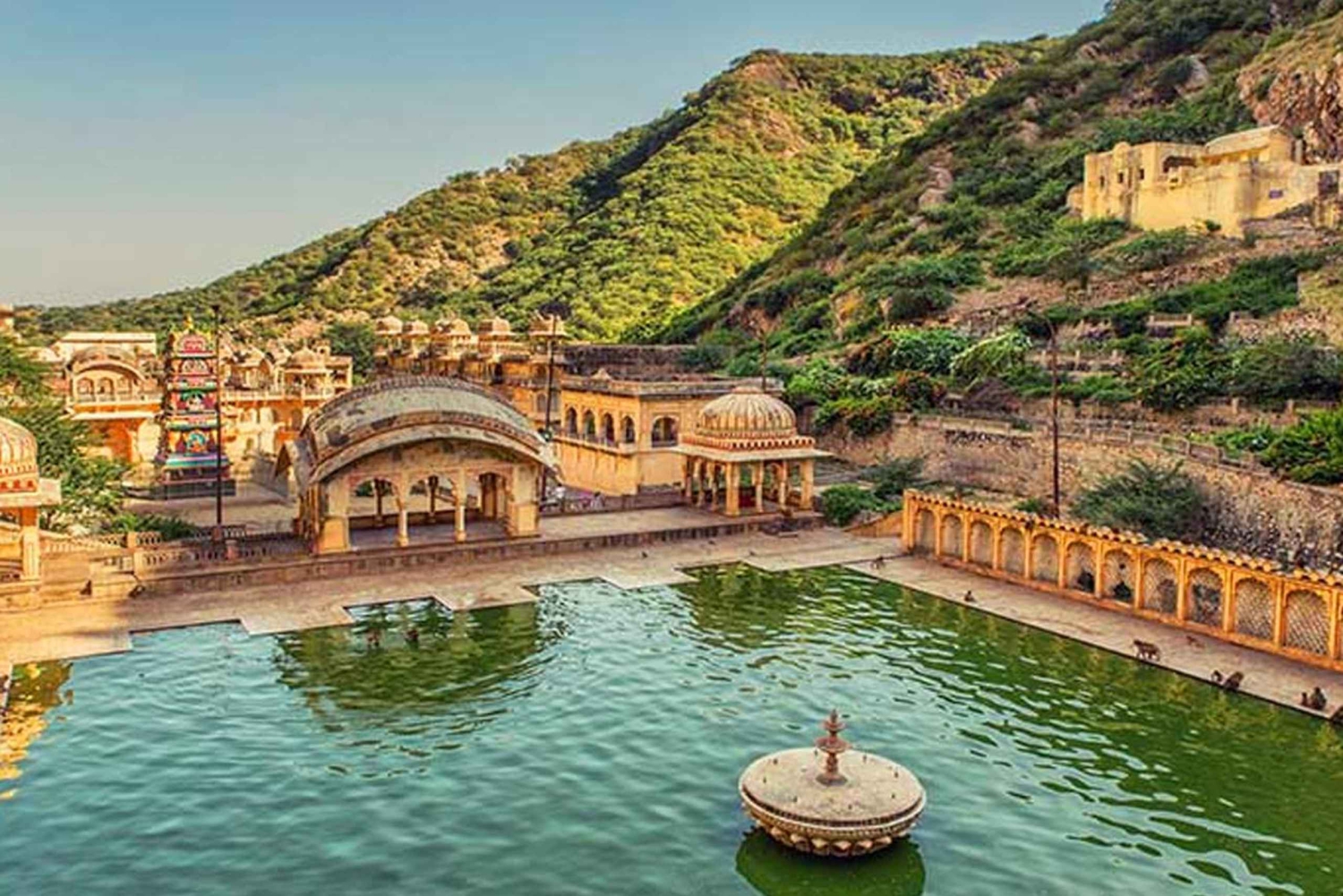 Z Delhi: wycieczka do Jaipuru ze świątynią Galta Ji (Świątynia Małp)