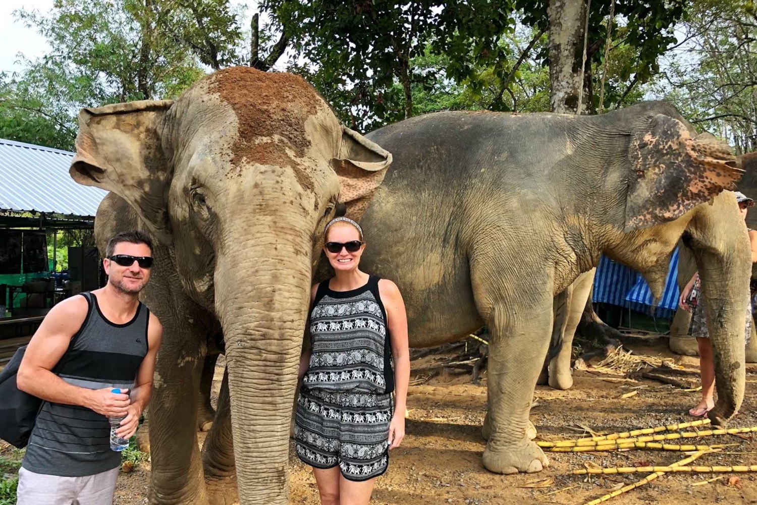 Från Delhi: Jaipur-tur med guide, transport och elefanter